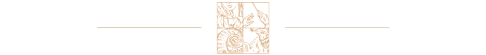 divider